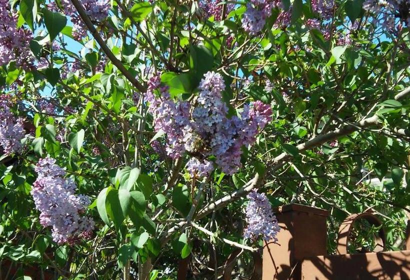 غرفة قياسية, B&b La Magnolia