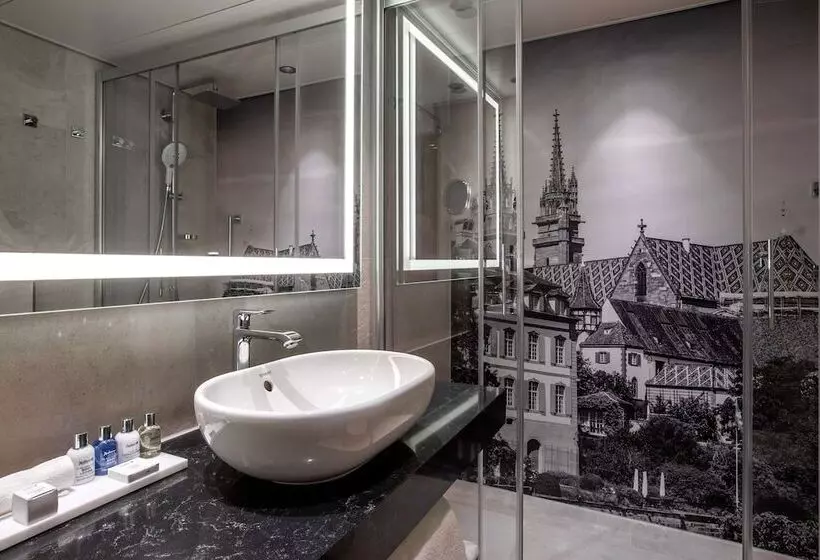 Camera Premium, Radisson Blu , Basel