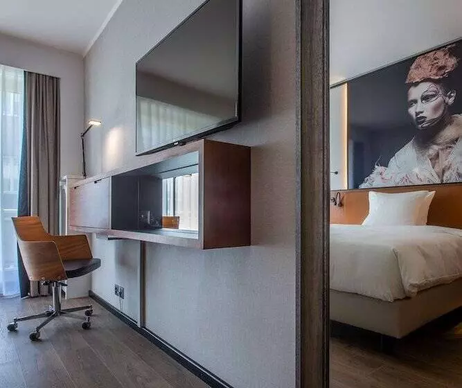 Camera Standard, Radisson Blu , Basel