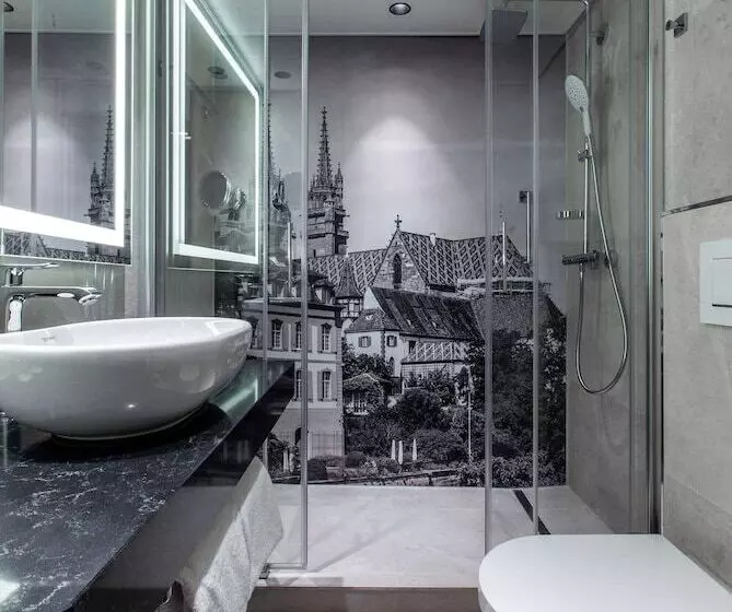 Camera Standard Individuale, Radisson Blu , Basel