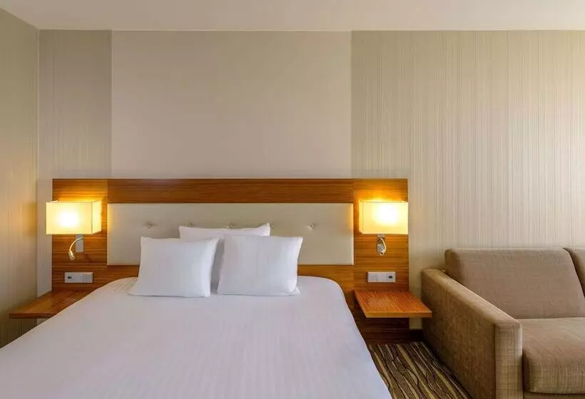 اتاق پرمیوم, Mövenpick Hotel Geneva