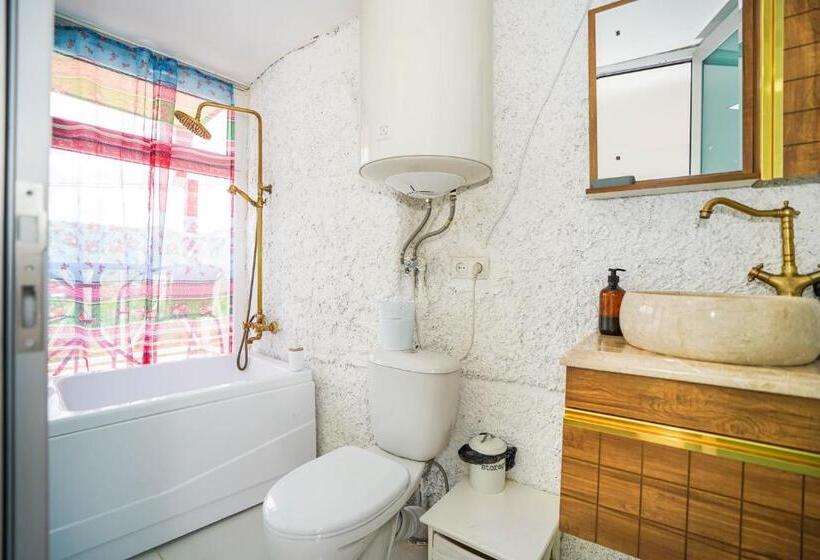 اتاق استاندارد یک نفره, Sighnaghi Art