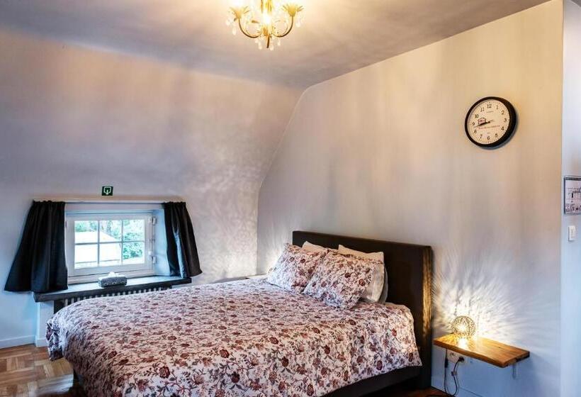 Студия Стандарт, Rose House B&b