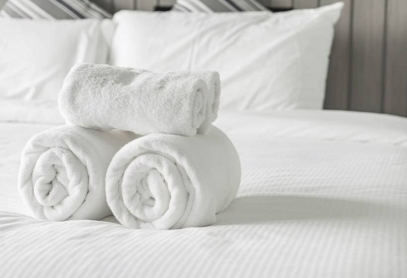 标准间, Tolomeo Rooms