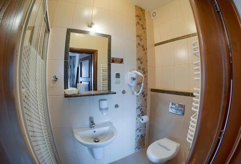 带1个卧室的豪华公寓, Willa Silene   Góralska Muzyka Na żywo, Blisko Termy I Wyciągów