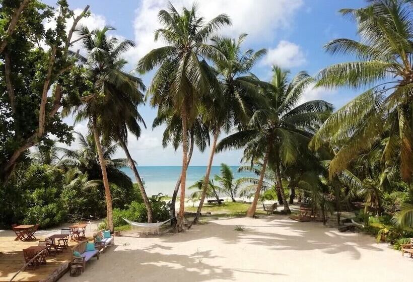 آپارتمان 1 خوابه با چشمانداز دریا, Bliss Hotel Praslin