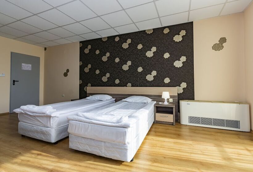 غرفة قياسية, City