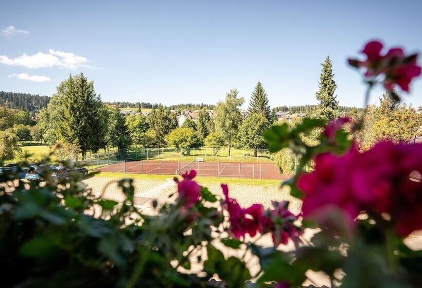 غرفة قياسية, Zum Ochsen