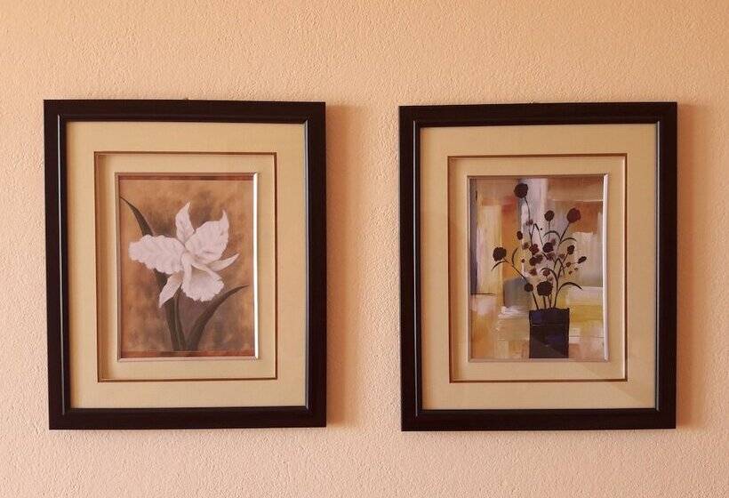 סטודיו סטנדרטי נוף לים, Guest House Hvar Jelsa