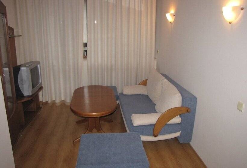 شقة ديلوكس غرفة واحدة, Edelweiss Inn Apart