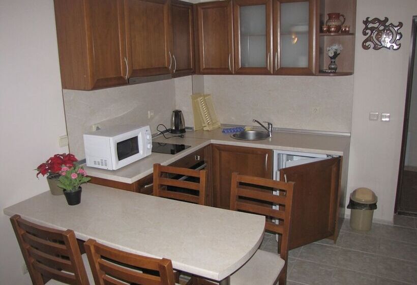 شقة ديلوكس غرفة واحدة, Edelweiss Inn Apart