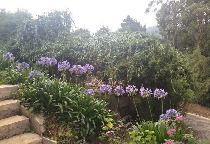 デラックスルーム, Panorama Green View Hotel Nuwara Eliya
