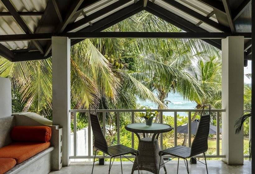 标准间, Coco Tangalla