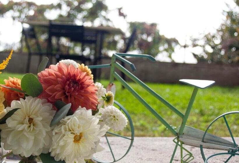 豪华套房, La Corte Segreta