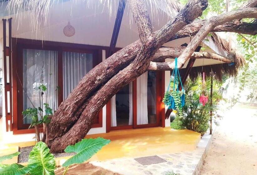 Ekonomiskt Enkelrum, Sri Lanka Beach House Hotel And Spa