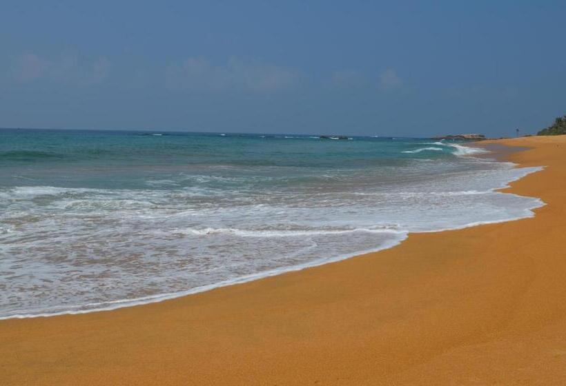 Ekonomiskt Enkelrum, Sri Lanka Beach House Hotel And Spa