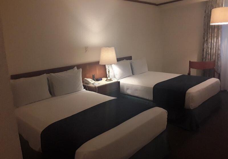 غرفة قياسية, Sheraton Dallas