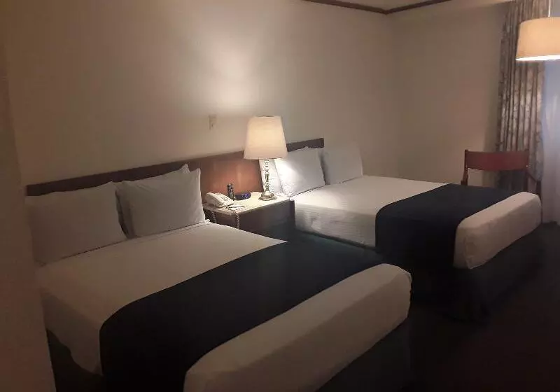 スタンダードルーム, Sheraton Dallas