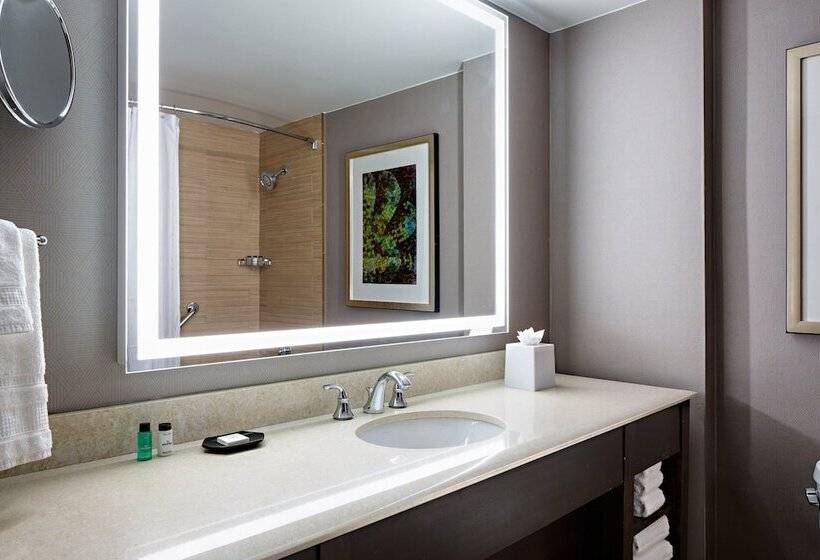 غرفة قياسية سرير مزدوج, Sheraton Dallas