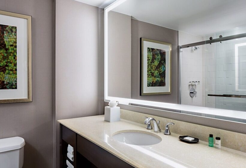 غرفة كلوب, Sheraton Dallas