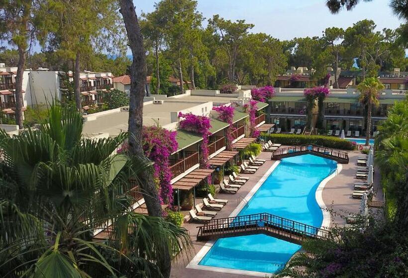 침실 1개 주택, Turquoise