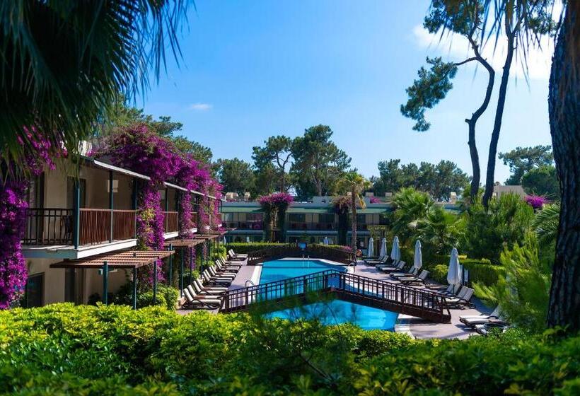 침실 2개 주택, Turquoise