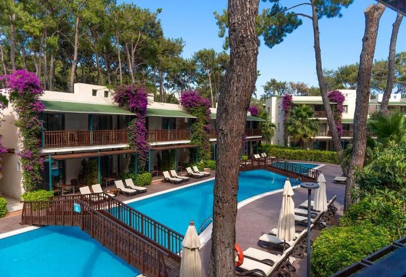 침실 2개 주택, Turquoise