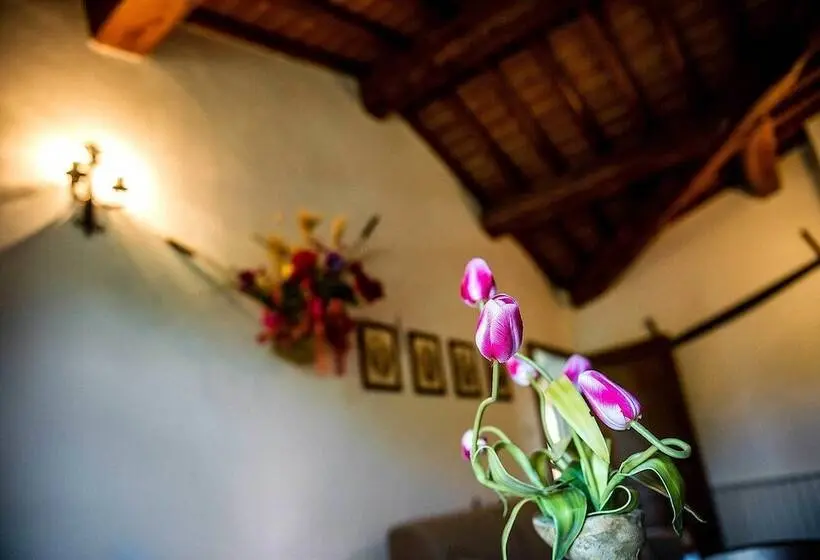 1ベッドルームアパートメント, Agriturismo Palazzo Conti B
