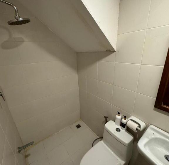 اتاق استاندارد, Sj Mansion