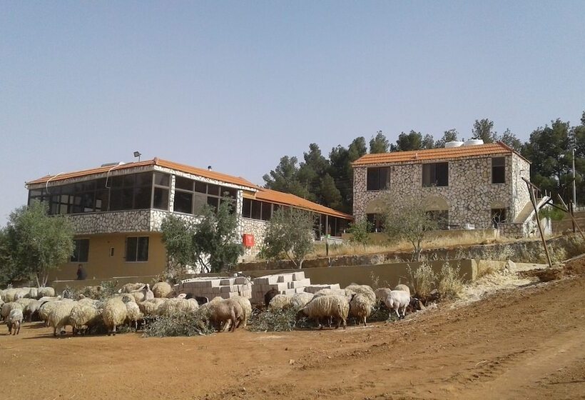 اتاق اکونومی, Town Of Nebo