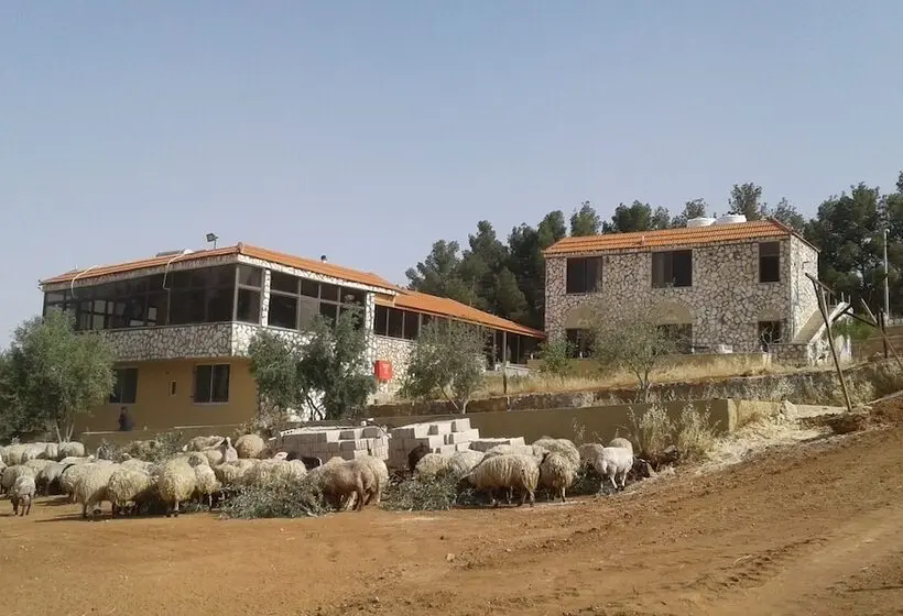اتاق اکونومی, Town Of Nebo