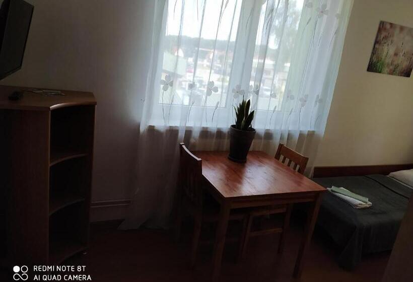 Номер Стандарт Совместная Ванная, Zielony Dom