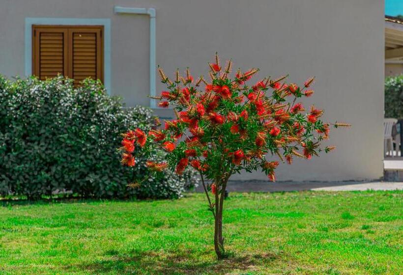 آپارتمان 3 خوابه, Stella Marina Camere Sul Mare