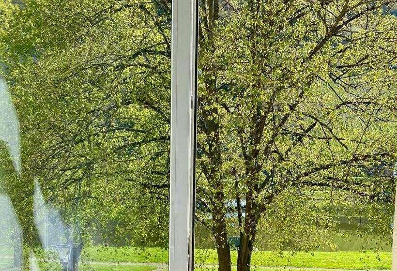 חדר סופריור לשלושה, Krone Riesling