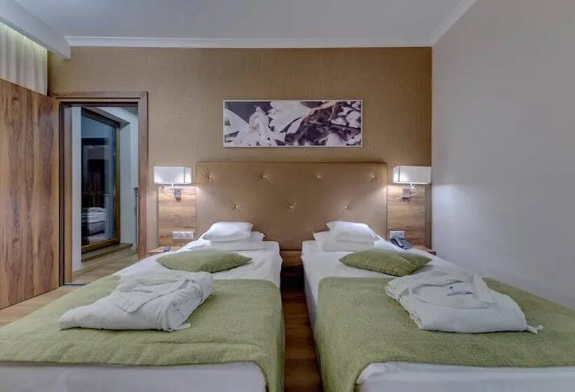 バルコニー付きスタンダードルーム, Mineral Hotel Malinowy Raj