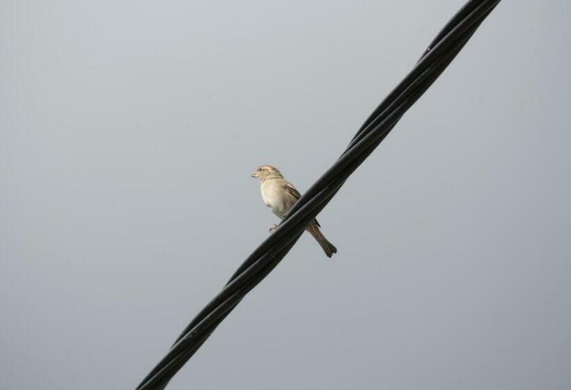 منزل غرفة نوم واحدة, Casas De Pedra   Casa Da Avó