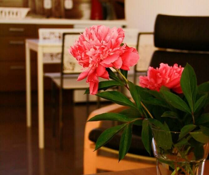 2间卧室的房子, Pelikan Resort