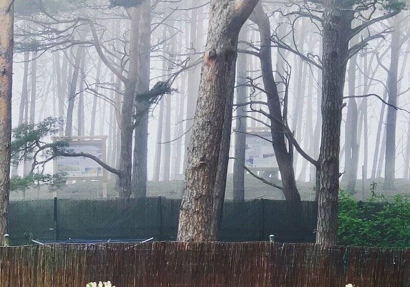 2间卧室的房子, Pelikan Resort