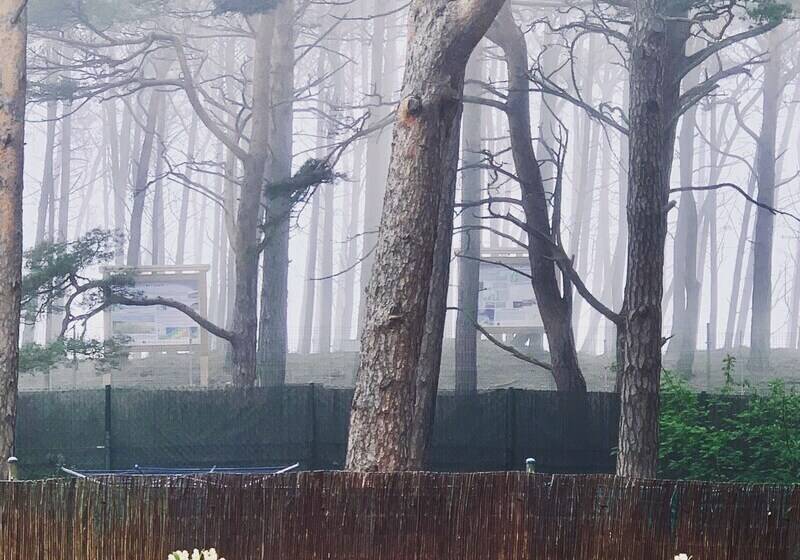 2间卧室的房子, Pelikan Resort