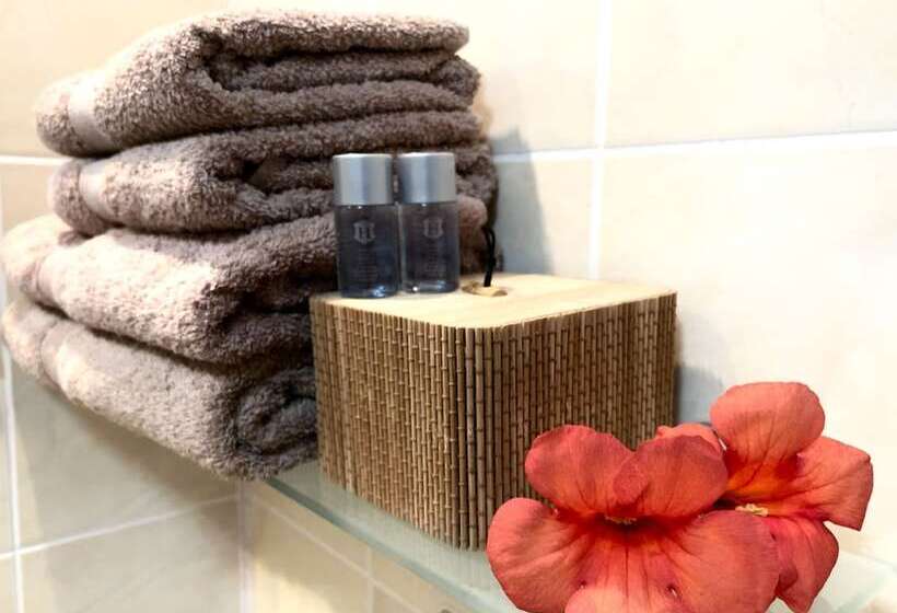 Номер Стандарт, Iliikova House