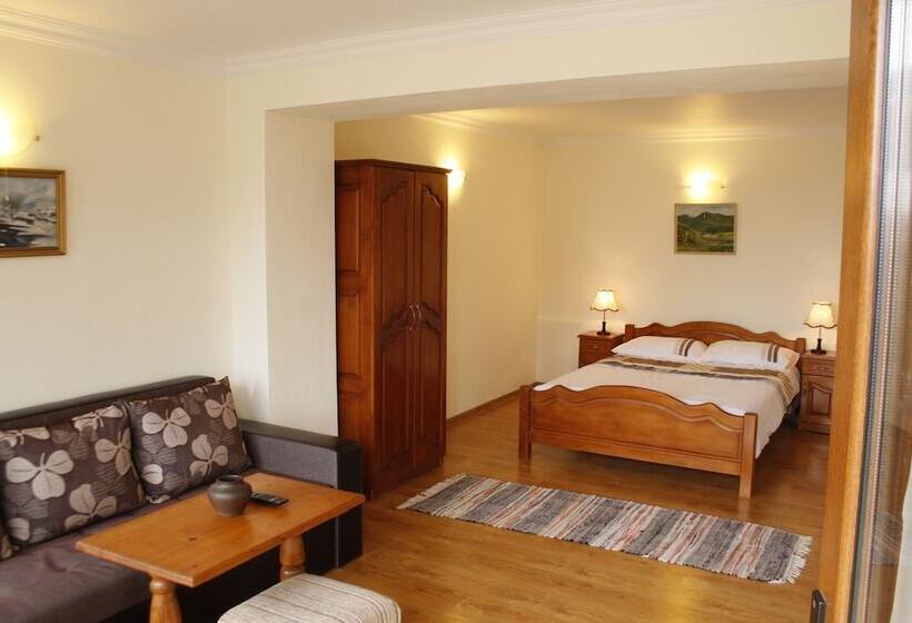 Номер Стандарт, Iliikova House