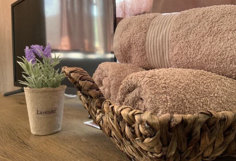 Номер Стандарт, Iliikova House