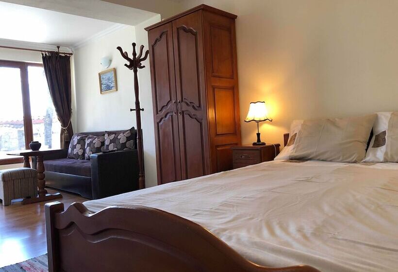 Номер Стандарт, Iliikova House