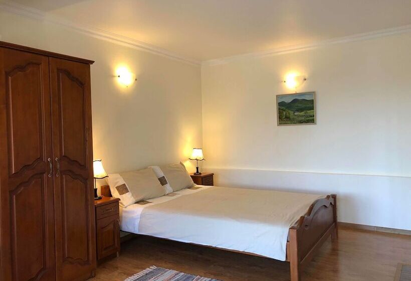 Номер Стандарт, Iliikova House