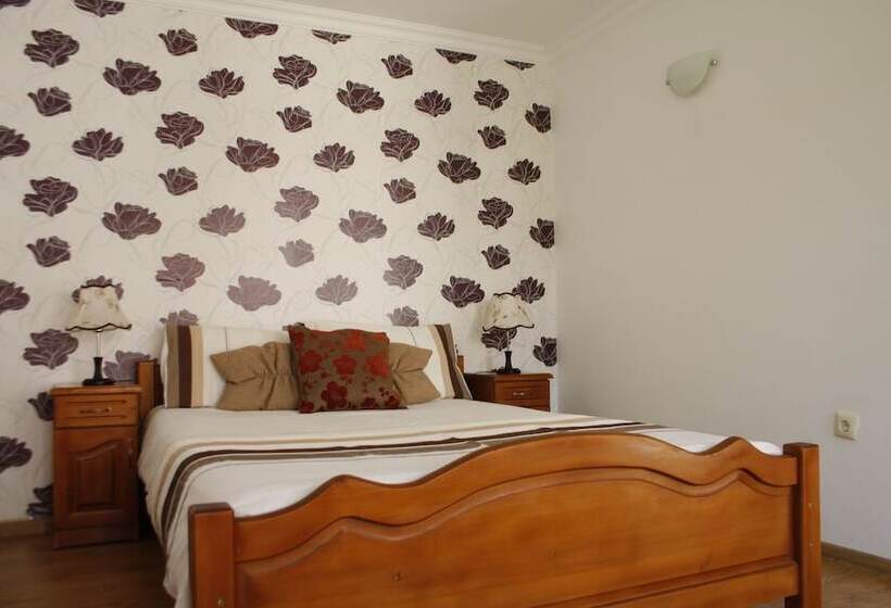 Номер Стандарт, Iliikova House