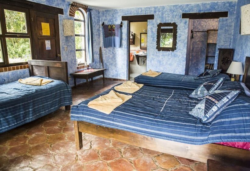سوییت خانوادگی, La Iguana Perdida   Hostel