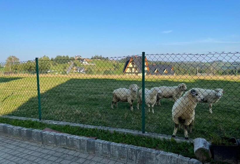 غرفة قياسية ثلاثية, Pensjonat Sekuła