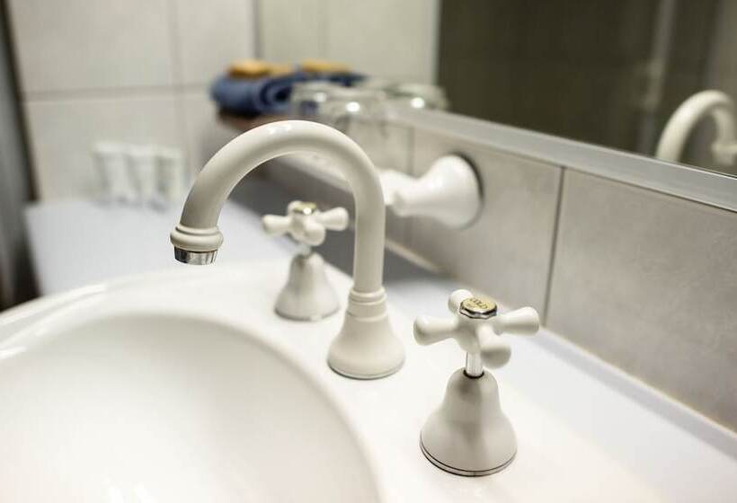 غرفة قياسية فردية سرير ملكى, Gipsy Point Lodge