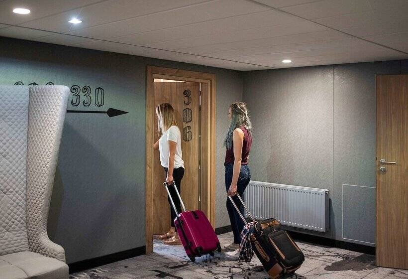 اتاق استاندارد, Ibis Styles Grudziadz