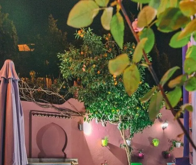 デラックススタジオ, Villa Rita Guest House